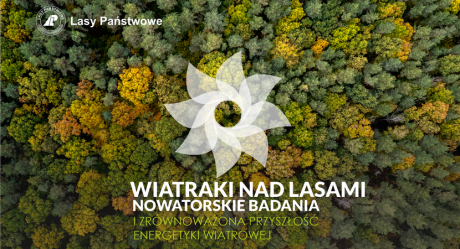 Wiatraki nad lasami - nowatorskie badania i zrównoważona przyszłość energetyki wiatrowej